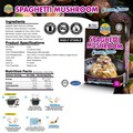Master Pasto Spaghetti Mushroom soup cream sauce (HALAL)